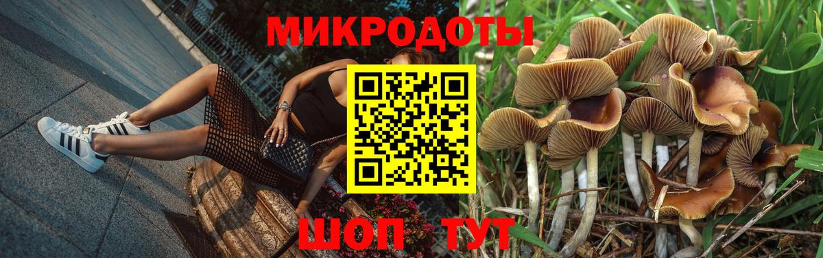 Псилоцибиновые грибы Psilocybine cubensis Луга